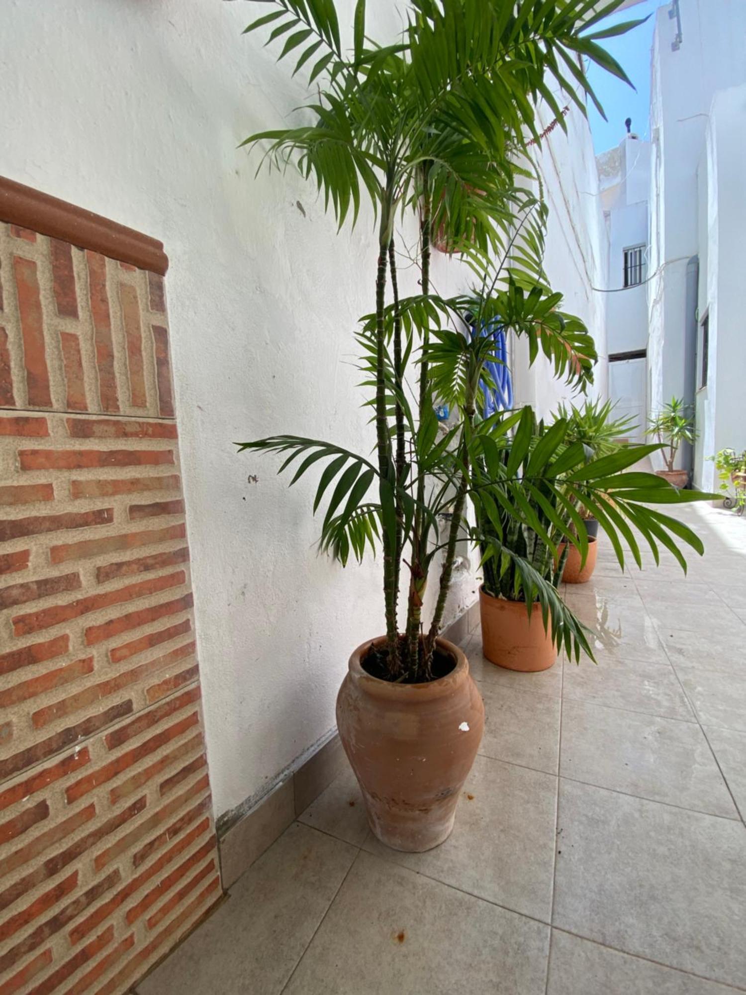 Casa Calle Vejer de la Frontera Luaran gambar